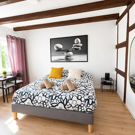 Cosy - Centre - Charme Alsacien - Strasbnb