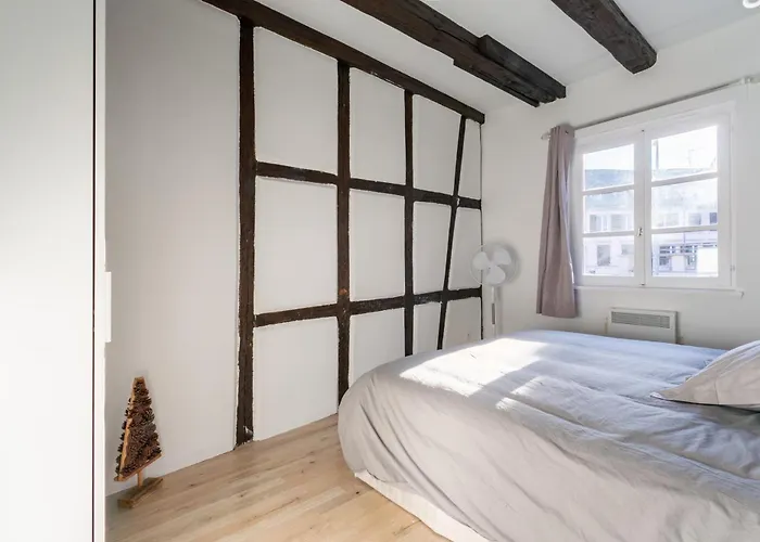 Apartment Cosy - Centre - Charme Alsacien - Strasbnb