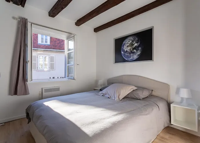 Cosy - Centre - Charme Alsacien - Strasbnb Apartment