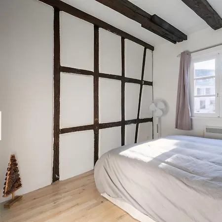Apartment Cosy - Centre - Charme Alsacien - Strasbnb