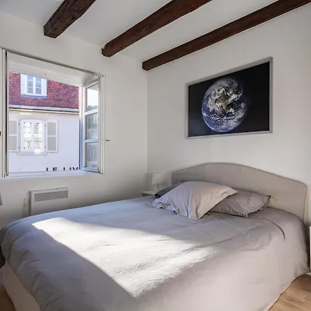 Cosy - Centre - Charme Alsacien - Strasbnb Apartment